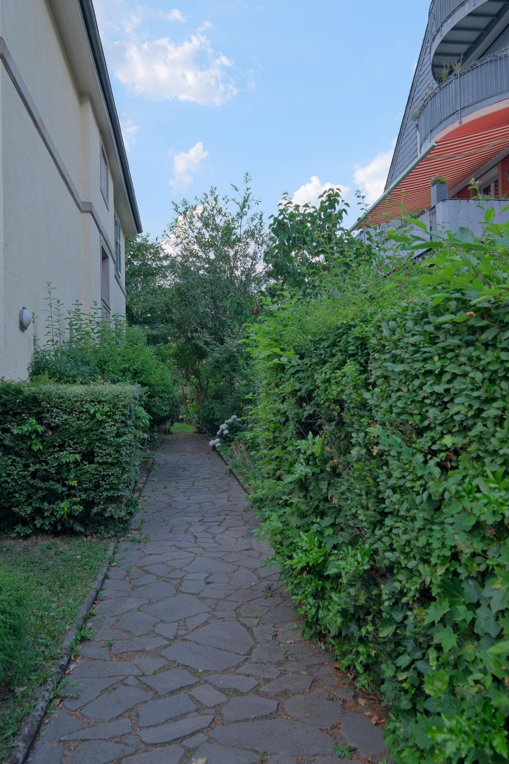 A paved walkway between a residential building and a tall green hedge under a blue sky with some clouds.