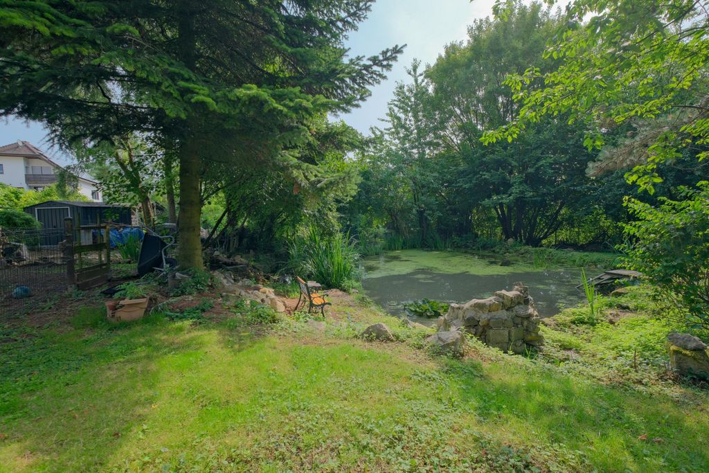 Green garden with a pond surrounded by trees and bushes, featuring a single bench by the shore and gardening tools on the left.