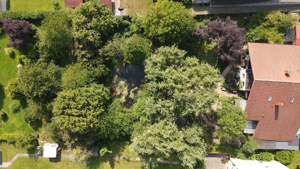 Aerial view of a garden with numerous trees, a small pond, and an adjacent house with a red roof.