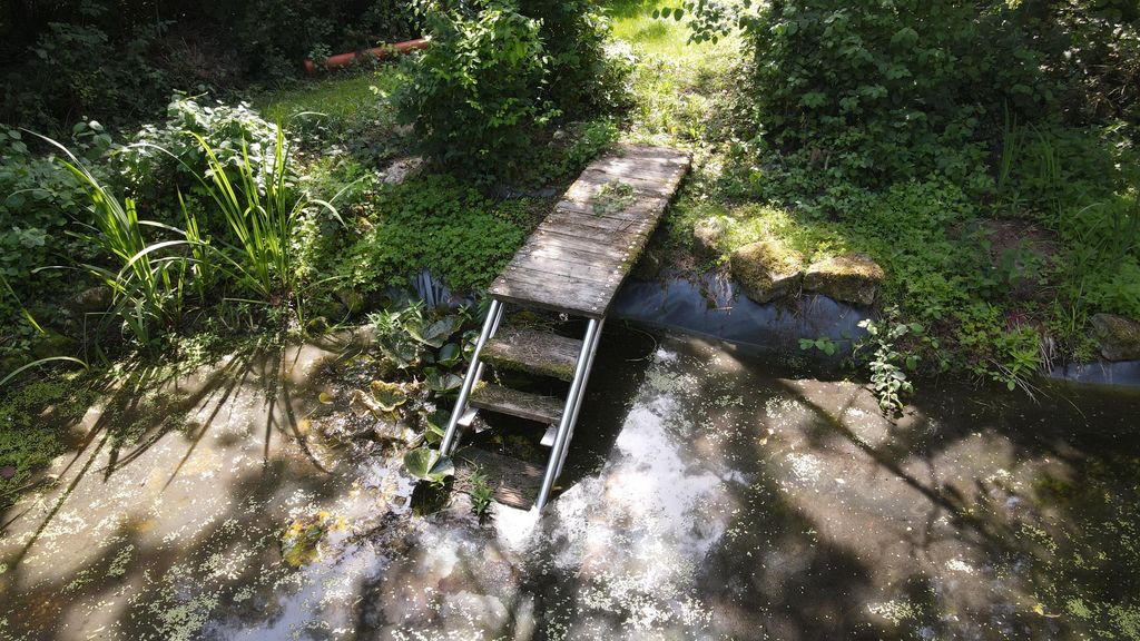 A small wooden bridge with metal railings crossing a pond in a lush garden.