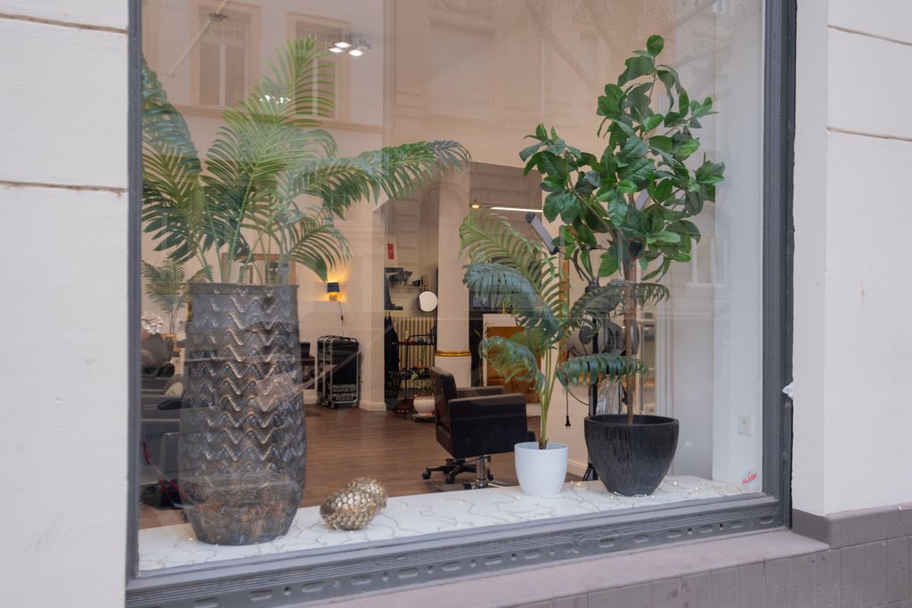 View through a salon window showing two large potted plants on the windowsill and a salon chair in the background.