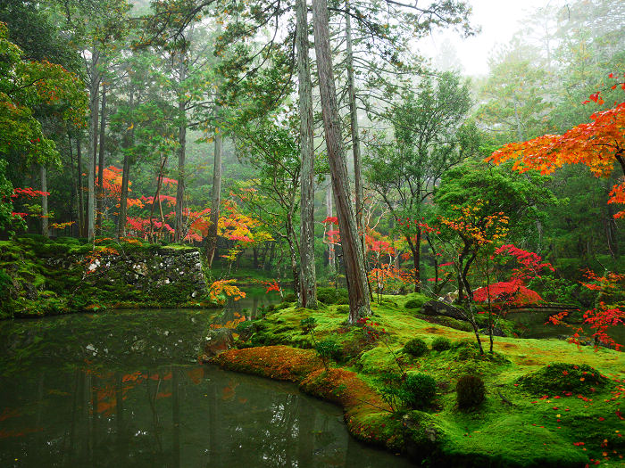 Saihōji (Kokedera) Temple