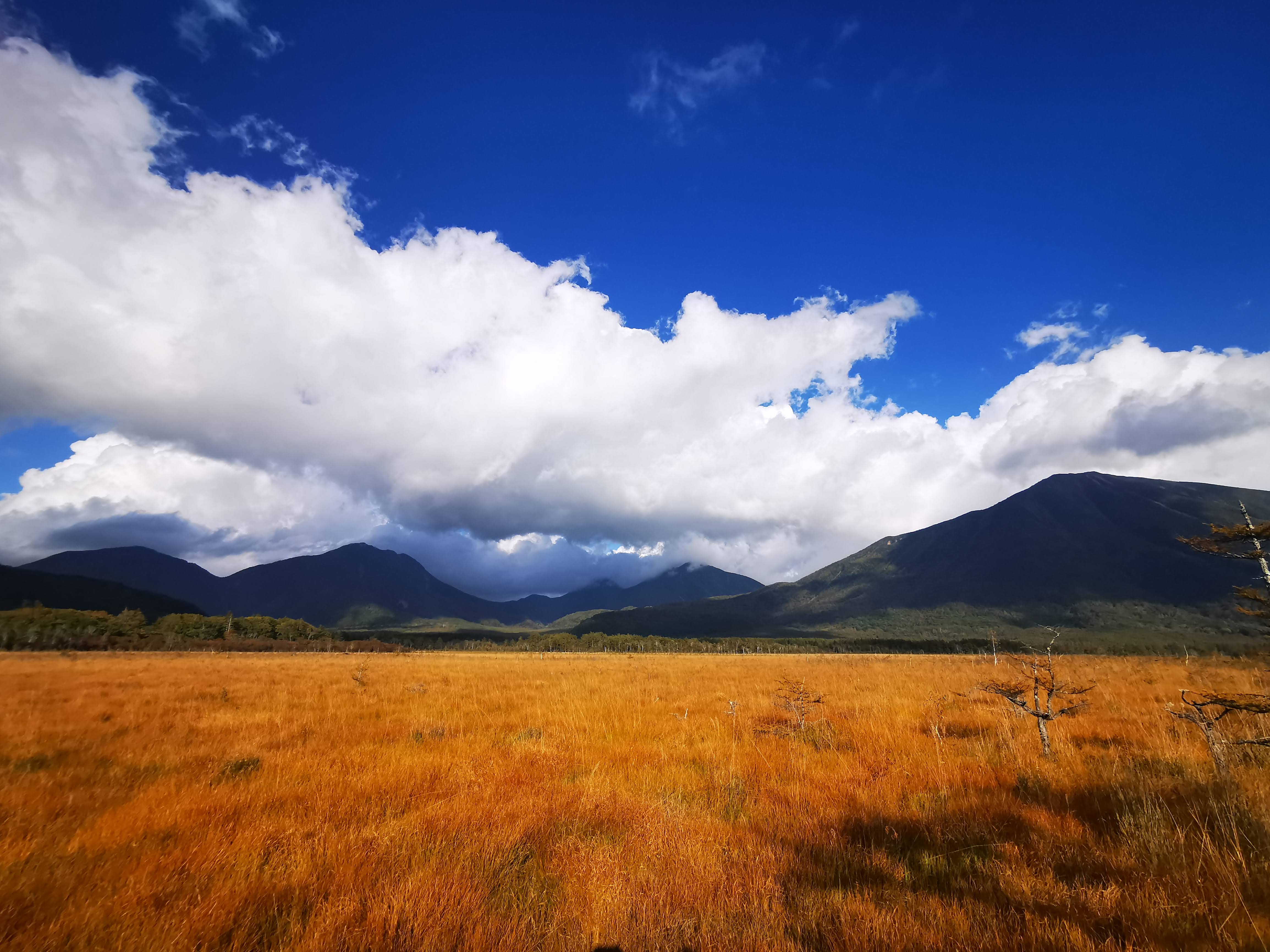 Senjōgahara Marshland