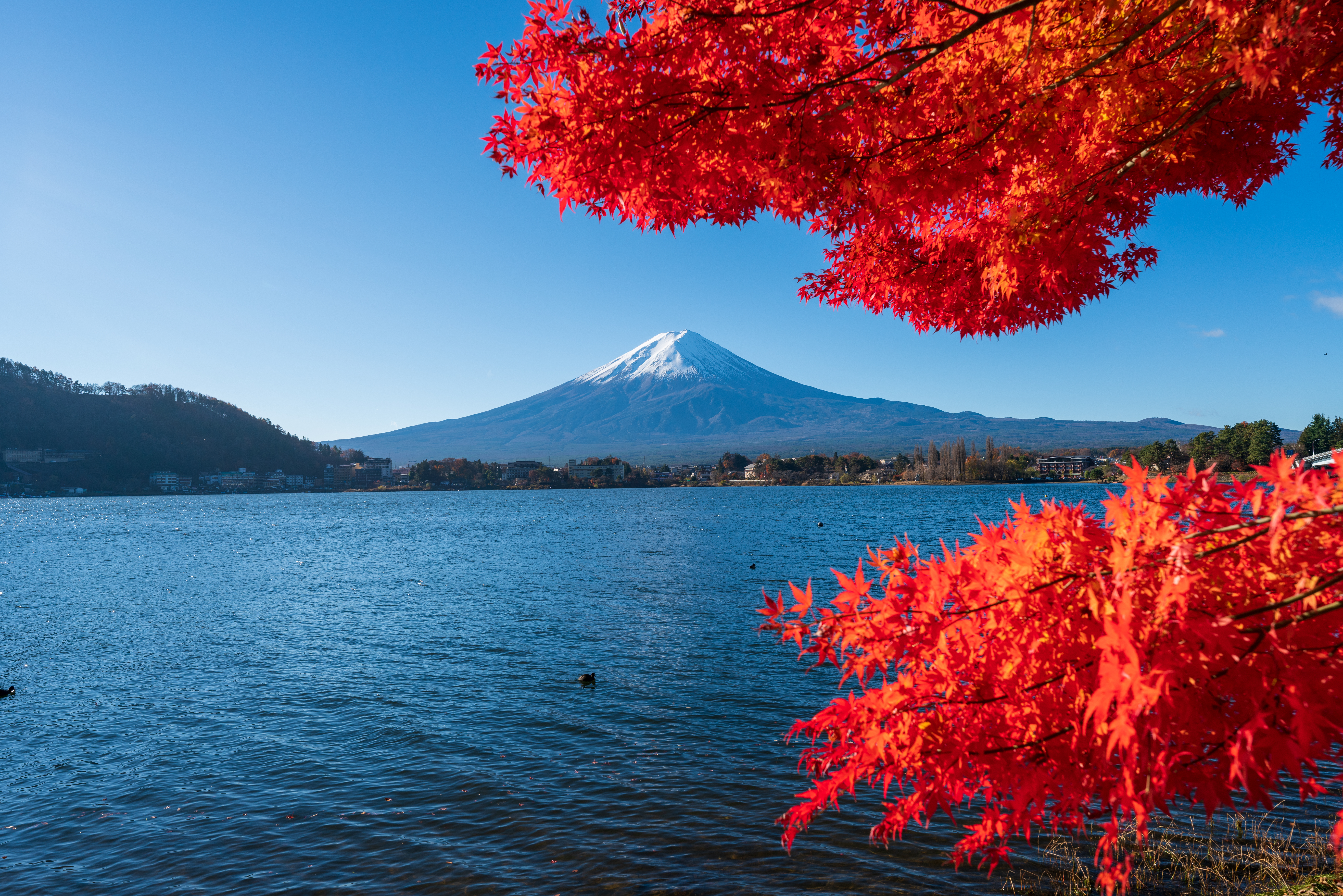 Lake Kawaguchi