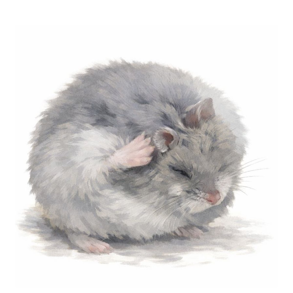 Test Event: Evening Code