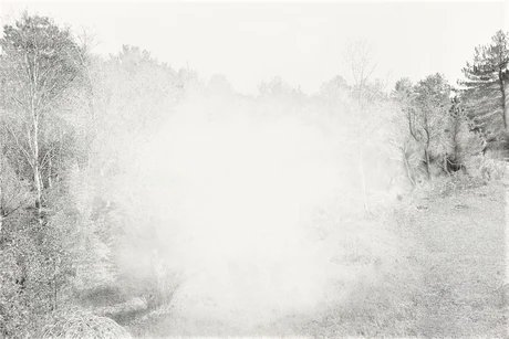 Reimagining Line. Drawing 3 - Artist Talk