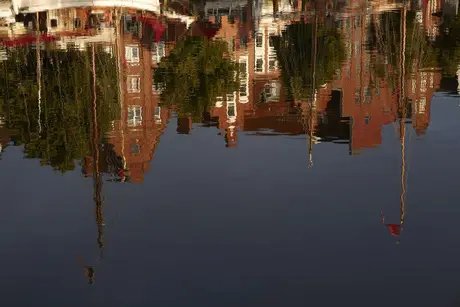 Thomas Mann, der unpolitische Schriftsteller?