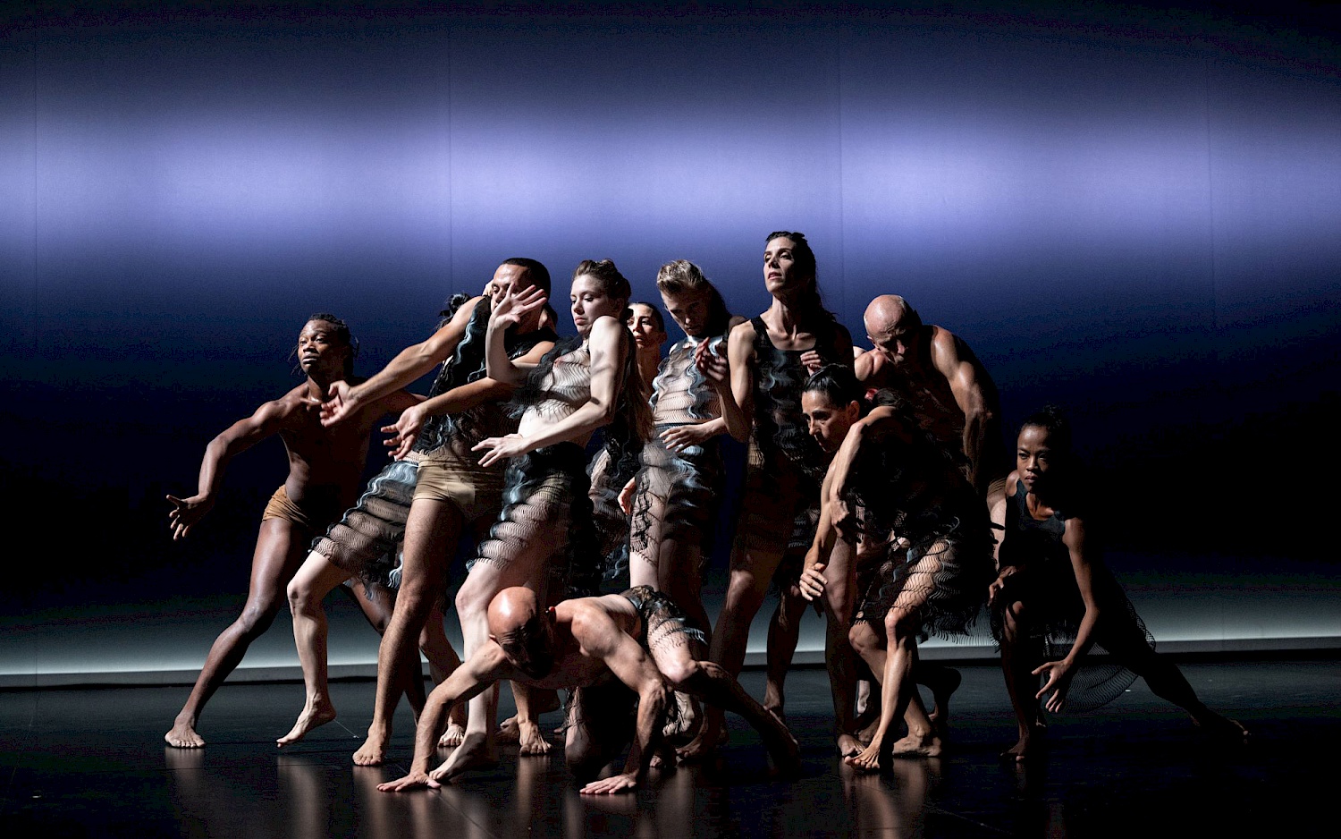 Kreatur: Sasha Waltz & Guests