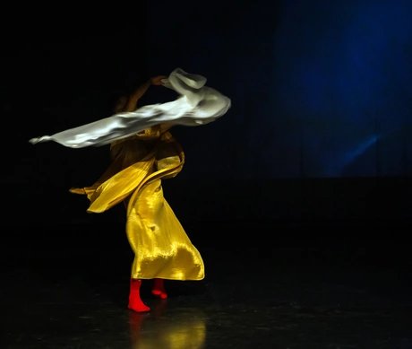 Shows You (maybe ) Missed