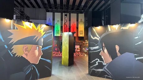 NARUTO THE GALLERY