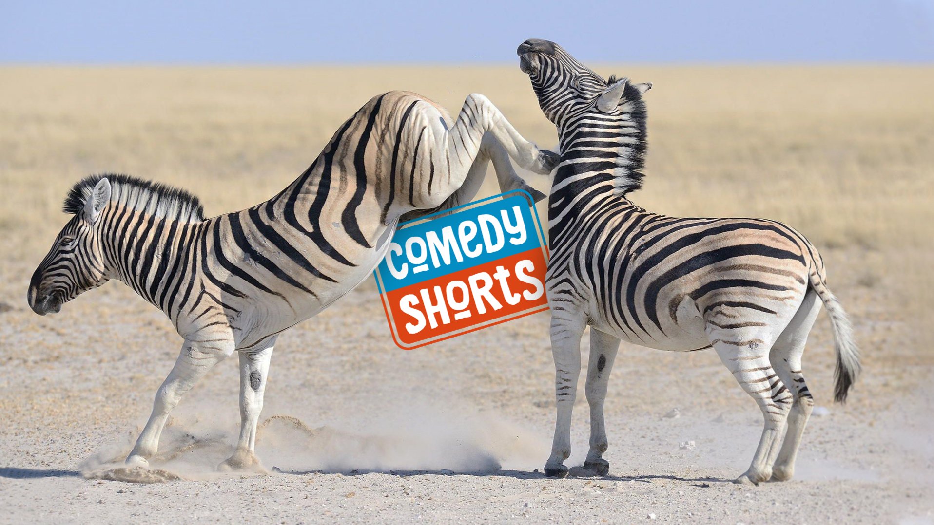 ComedyShorts Berlin - Improv comedy played like a sport!