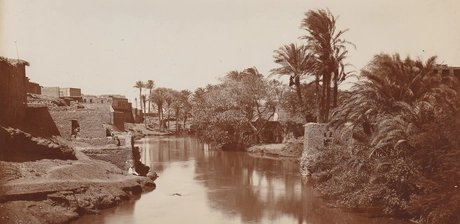 On Paths Untrodden. Georg Schweinfurth and His Significance ...