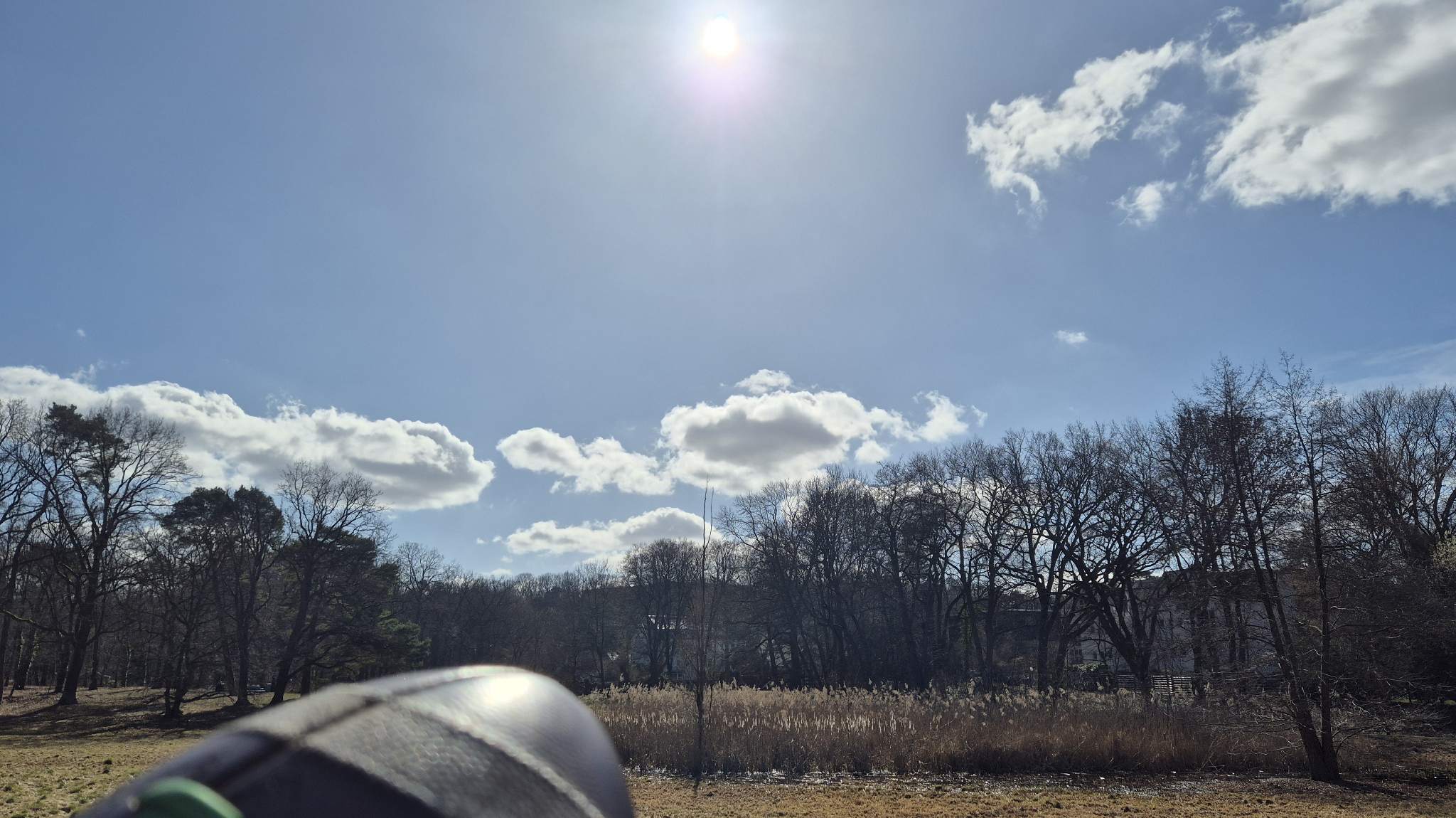 Flag Football Berlin 💚☀️🥦🎶 BrocoliBowl 🎶🥦☀️💚  + Music&Drinks&Dancing