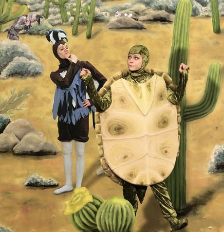 The turtle and the wishing rock