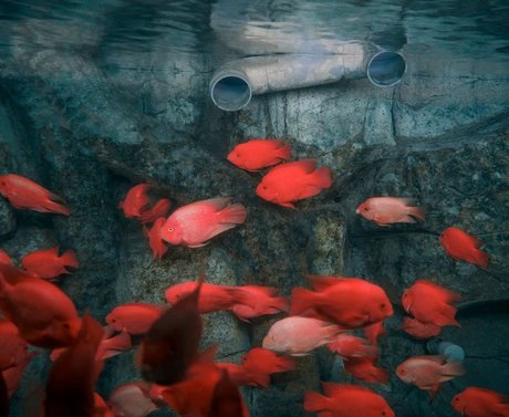 Sony World Photography Awards 2025