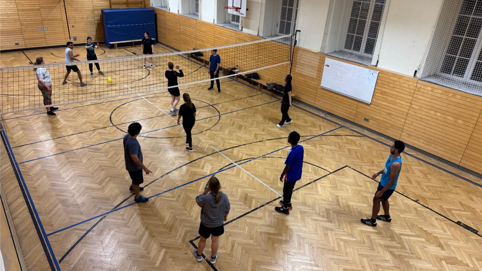 Terrible Volleyball (indoor)