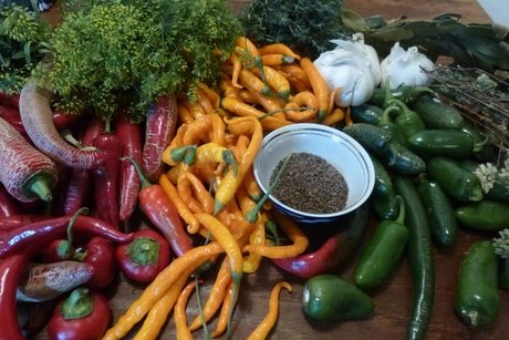 Veganuary at the Schönhauser Allee Arcaden