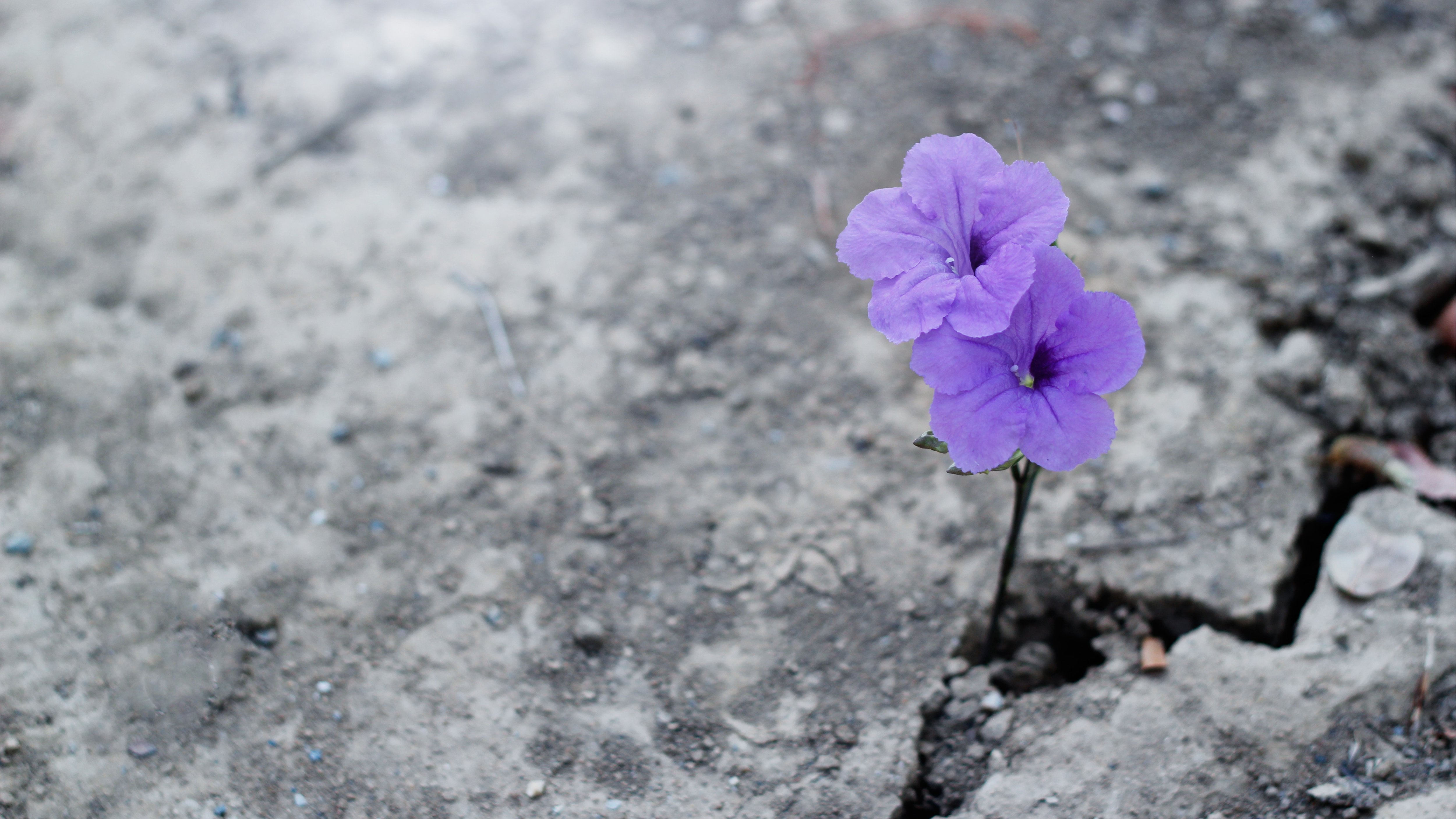 Frauengruppe - Thema: Selbstverwirklichung