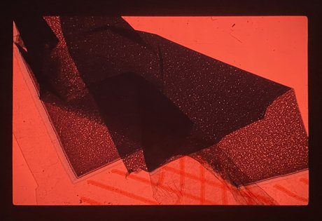 Curator’s tour through the exhibitions with Jo Pistorius