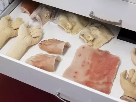 Behind the scenes: Preparations and moulages