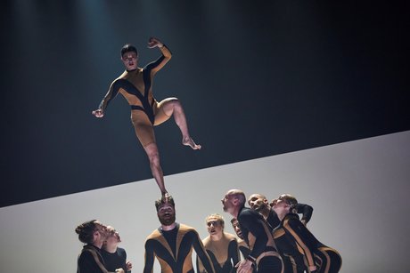 Wolf with Live Translation into German Sign Language