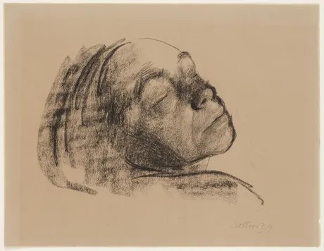 Käthe Kollwitz - Silent Power