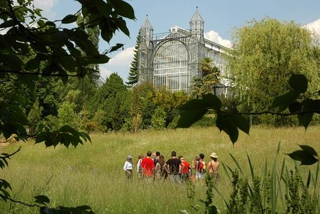 After breakfast in the garden