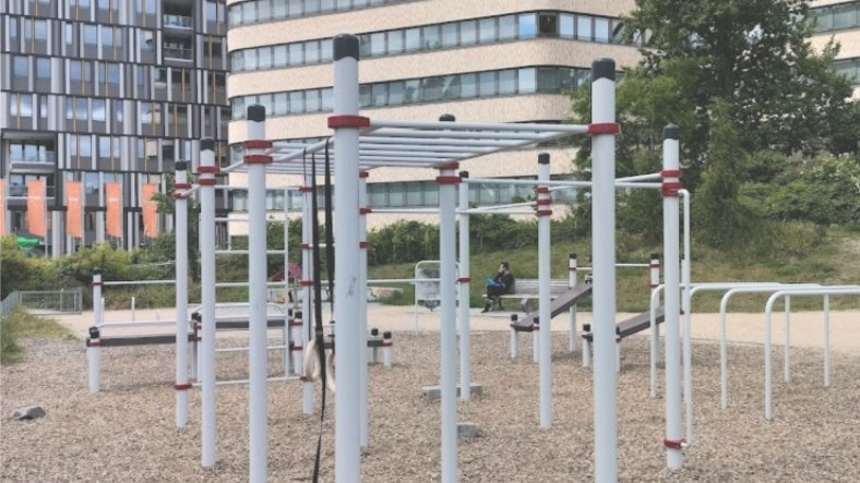 Calisthenics Training Sessions With Steph - Beginner to Intermediate