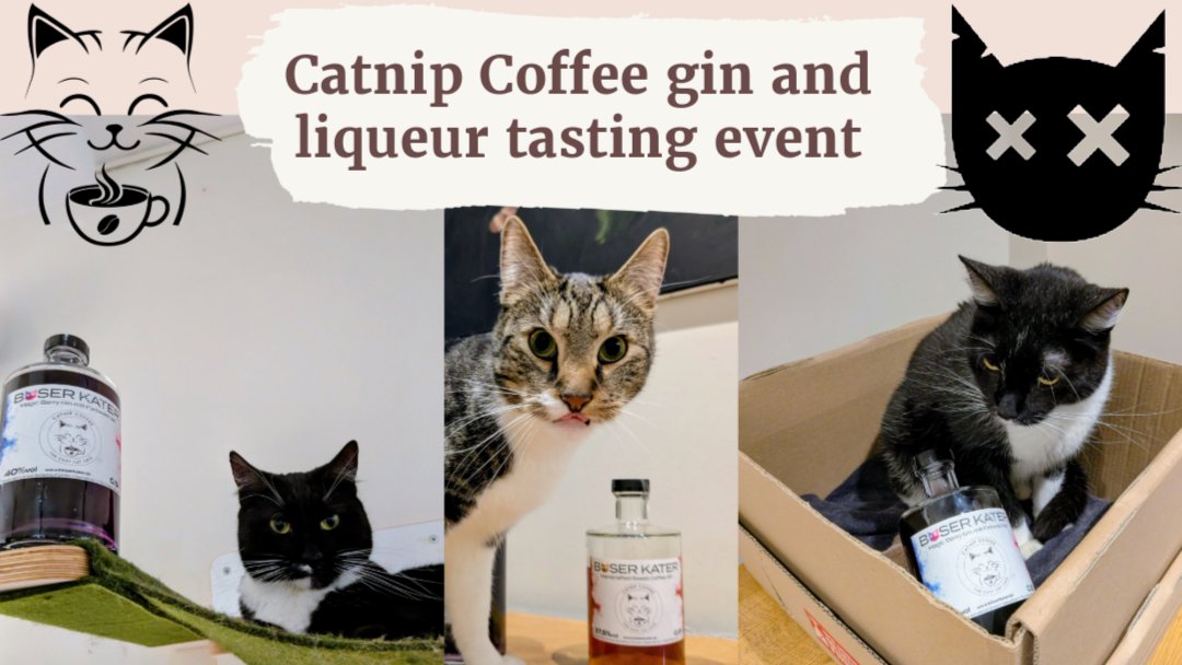 Gin and liqueur tasting at Catnip Coffee!