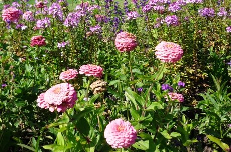 Research kids go on a search