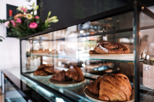 Reading in Companionable SILENCE