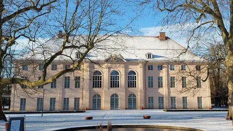 The Christmas goose Auguste