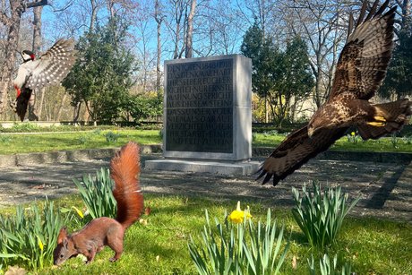 Urban nature and tree exploration at the Cemetery of the March Fallen