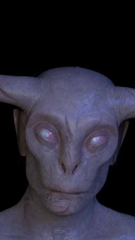 Cihad Caner. Demonst(e)rating the Untamable Monster