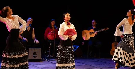 ‟Mi Mundo Flamencoˮ