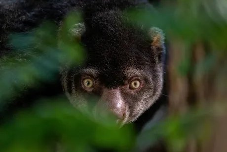 Jungle tour at Tierpark Berlin