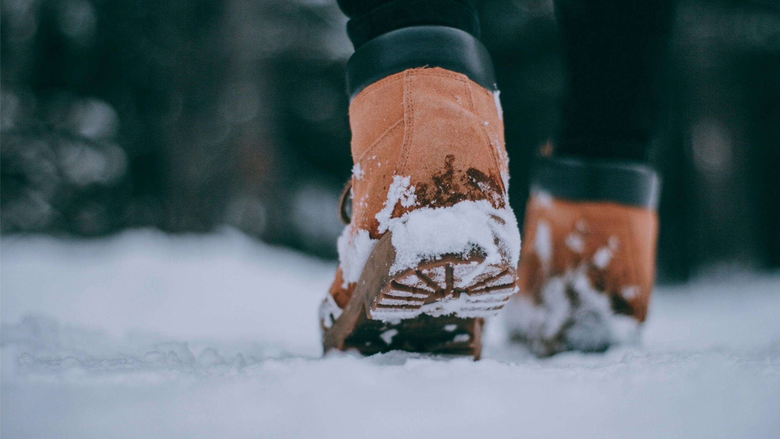 Lunchtime Mental Health Walks - likely snowy edition!