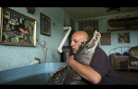 INTERFILM 41: Reality Bites