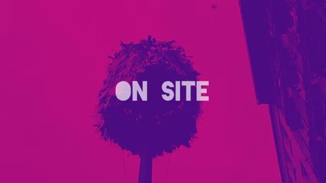 PINK YOU FEST: ON SITE