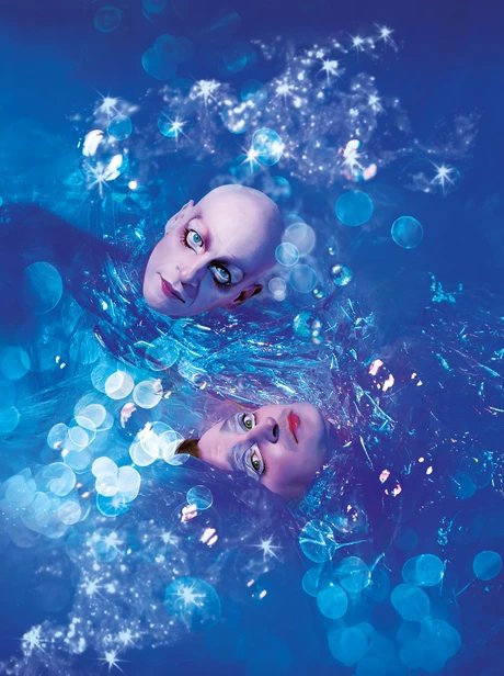 The Little Mermaid | The Ugly Duckling