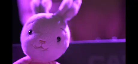 Lucy and the Scaredy-Cat