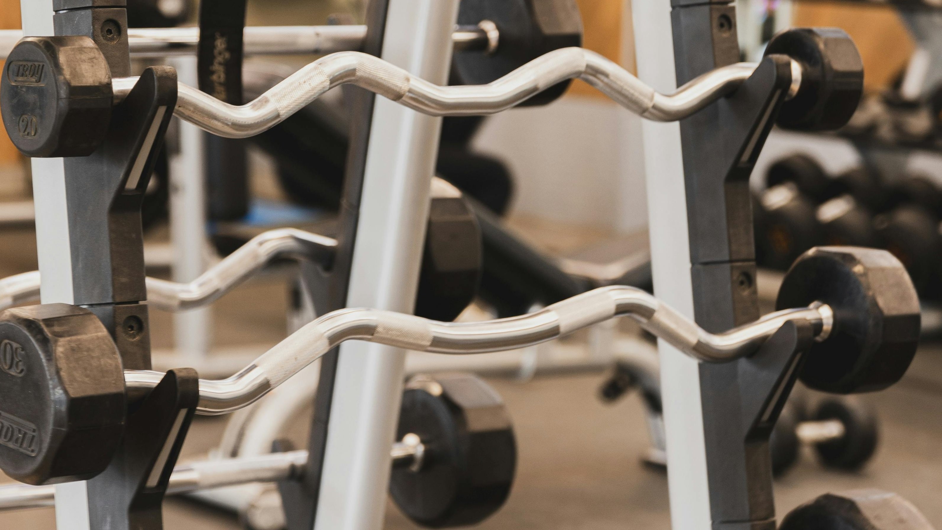 let's start training