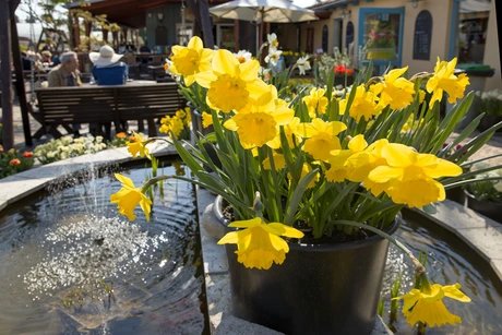 Kräutertage zum Saisonauftakt