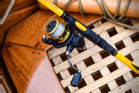 Fishing World Berlin 2025