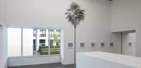 Photographically speaking