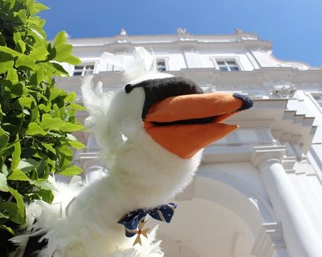 Best Friends - Swan Henry and his Prince Frederick