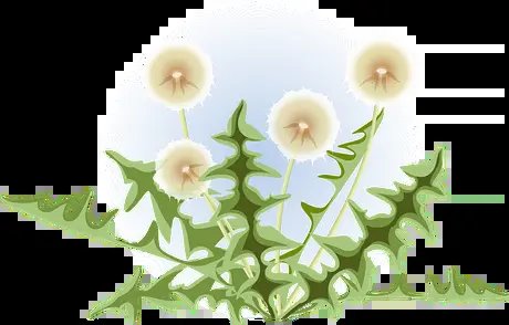 Autumnal root digging and herb stock cooking