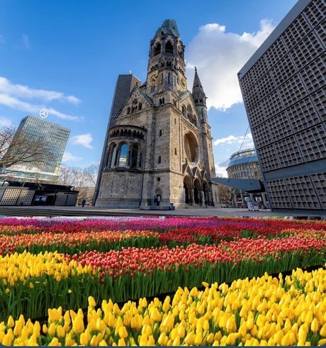 TulipDay Berlin