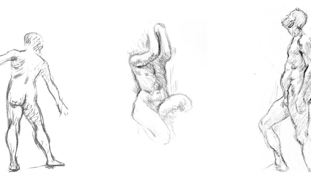 Akt x Anatomie / Life Drawing x Anatomy