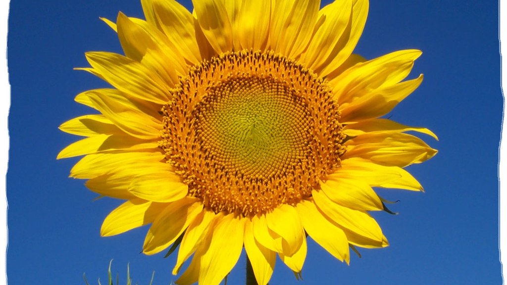 Gewaltfreie Kommunikation: Offener Übungsabend